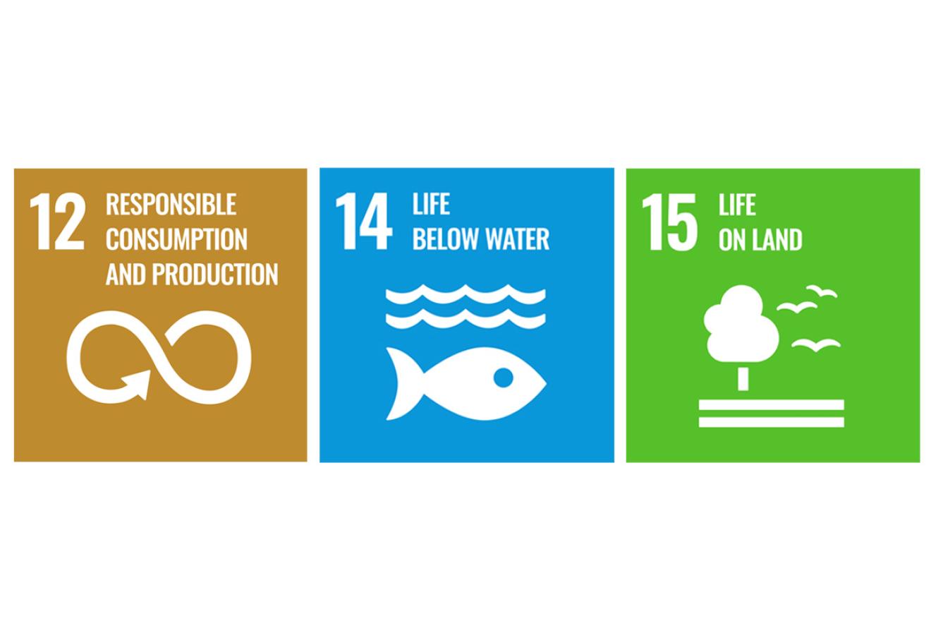 SDG goals 12, 14 and 15