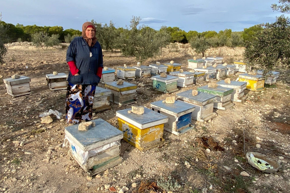 A woman stands next to her beehives. 