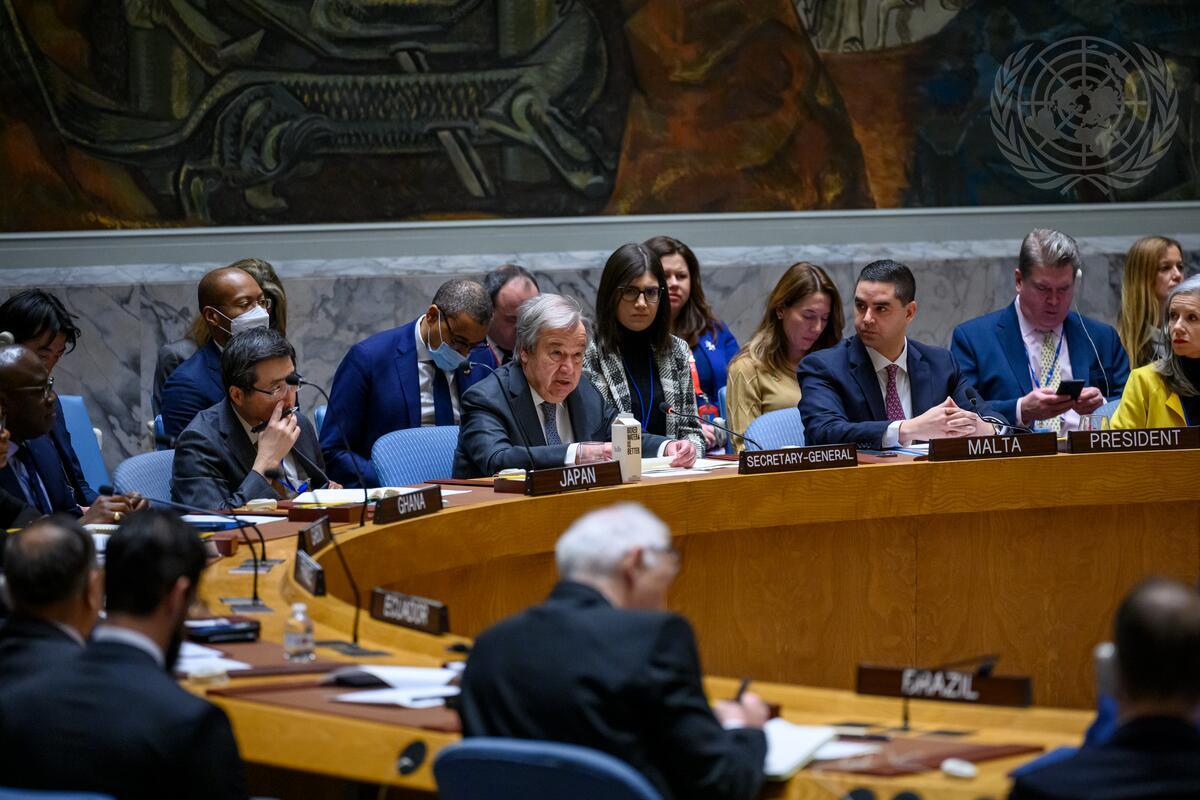 Security Council Meets on Sea-level Rise and Its Implications for International Peace and Security