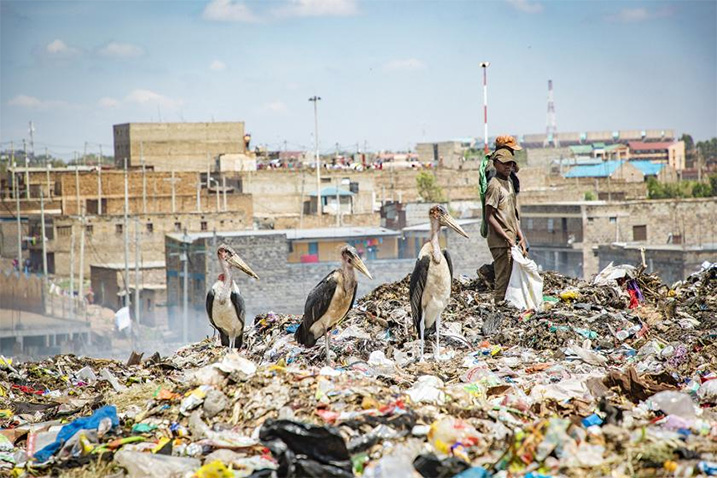 Dandora landfill in Nairobi, Kenya. 
