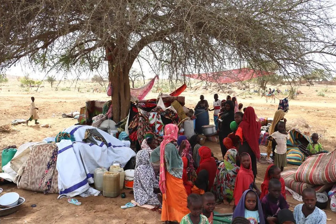 a group of people gather around a tree creating a shelter with their belongings. 