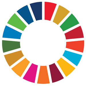 Decorative image of the SDG Goal colors